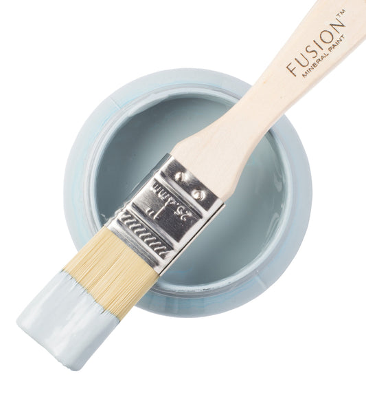 Fusion paintbrush with a container of paint labelled 'Champness' on a white background