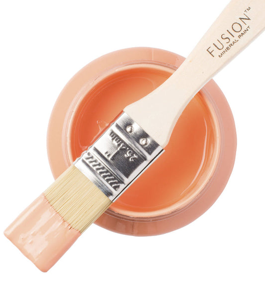 Coral paint with a brush and 'Fusion Mineral Paint' branding on a white background