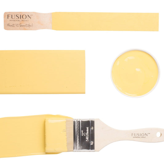 Fusion paintbrushes and paint swatches with yellow Little Star colour on a white background